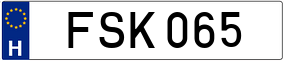 Truck License Plate